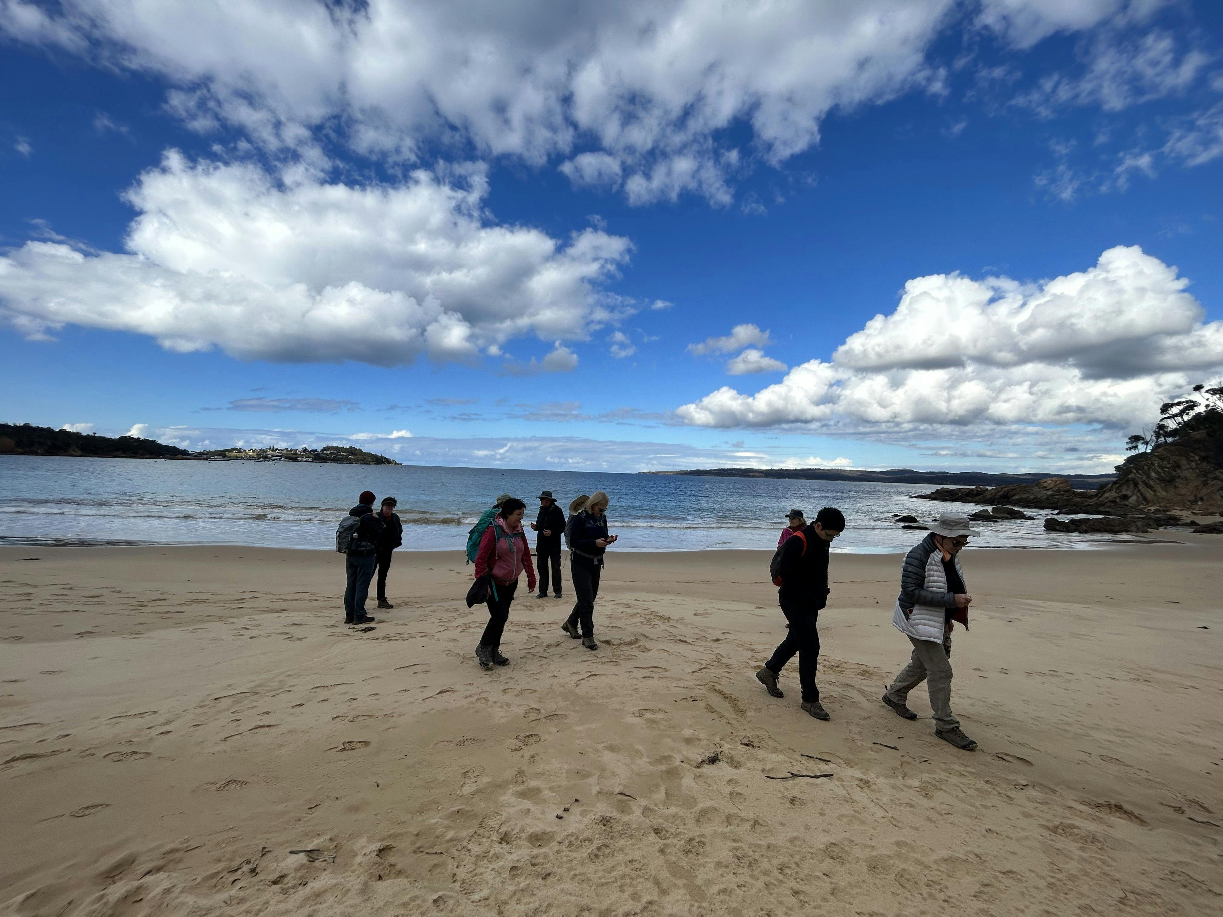 Group walking on beach