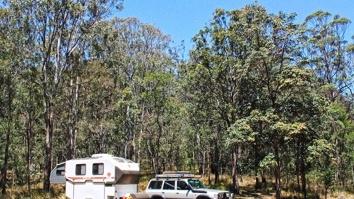 4WD and caravan set up near forest.