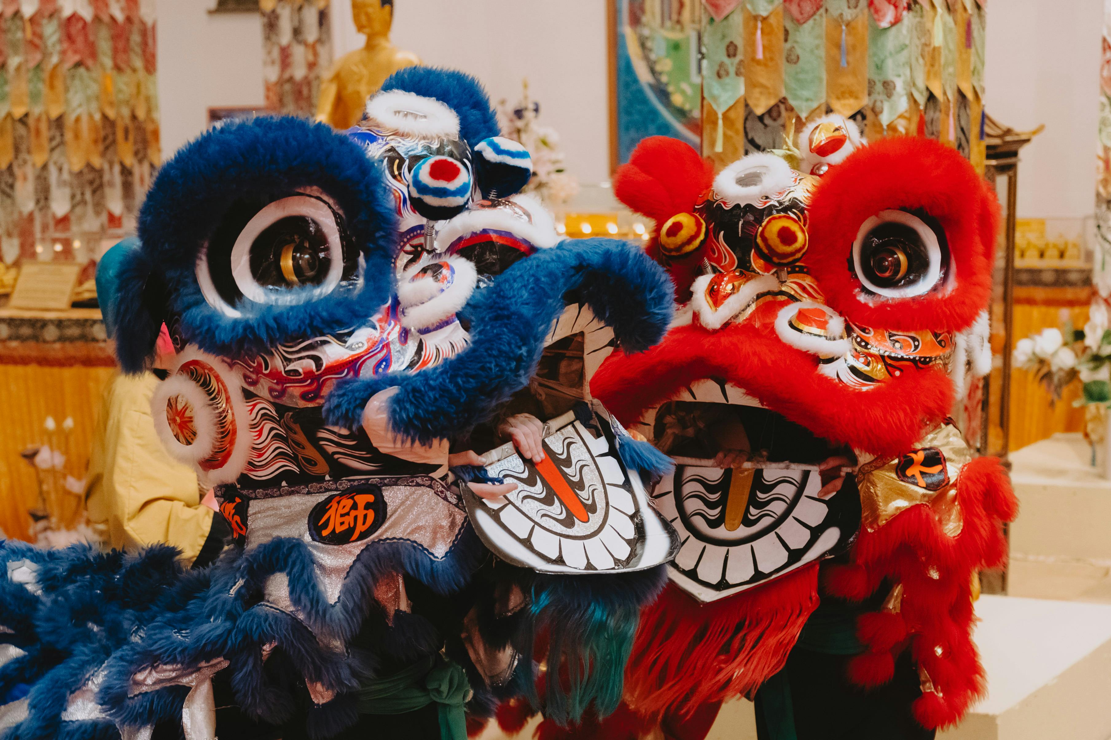 Image of traditional chinese lions one is blue and one is red
