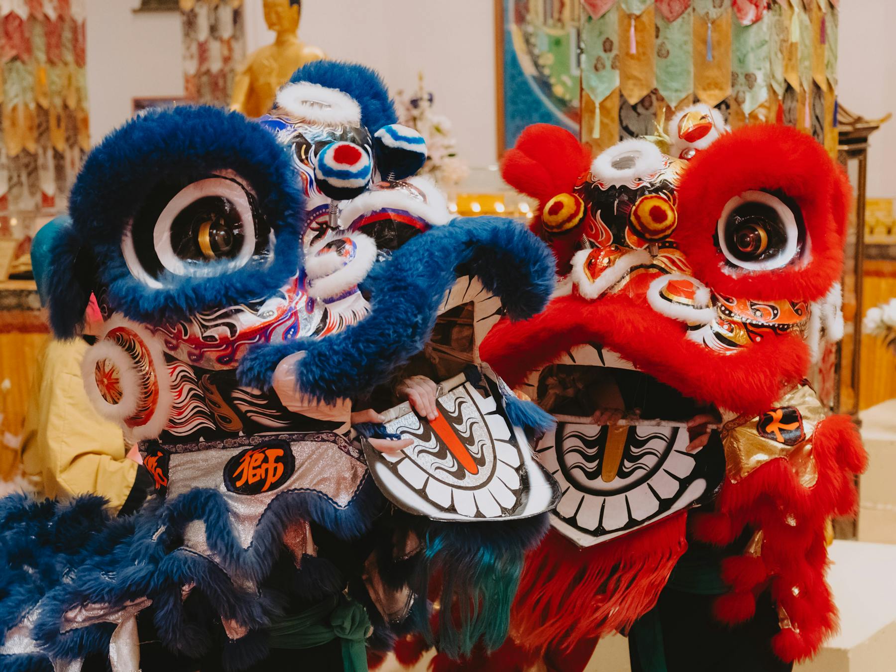 Image of traditional chinese lions one is blue and one is red