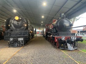 At left is our star exhibit, H220 'Heavy Harry', the largest locomotive ever built in Australia