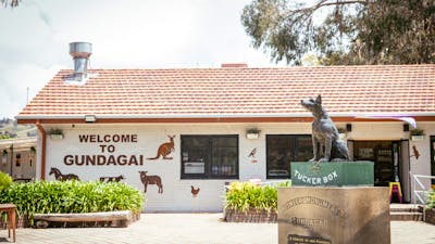 Dog on the Tuckerbox