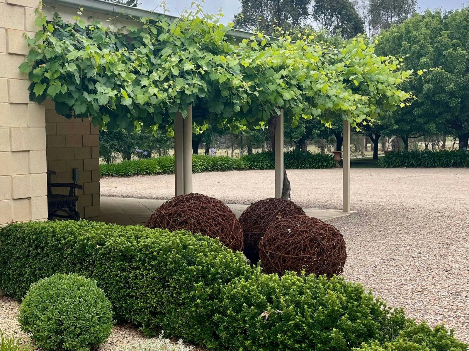 hedge with barbed wire ball sculptures
