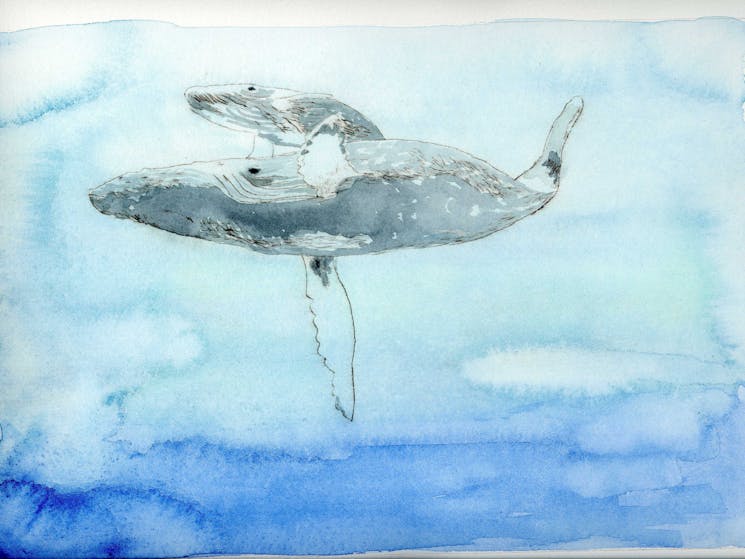 Whales by Jo Oliver