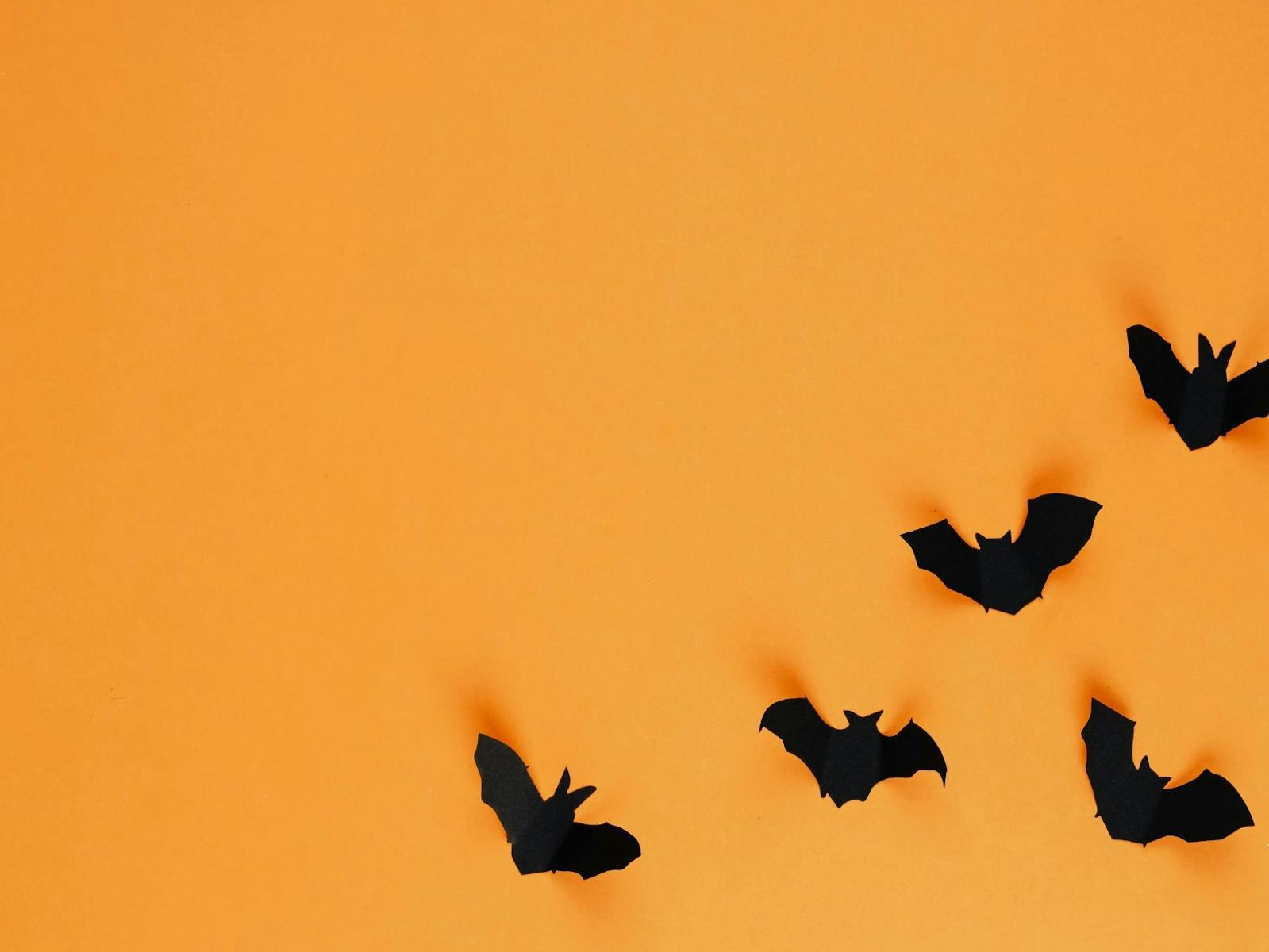 Orange background with black bats
