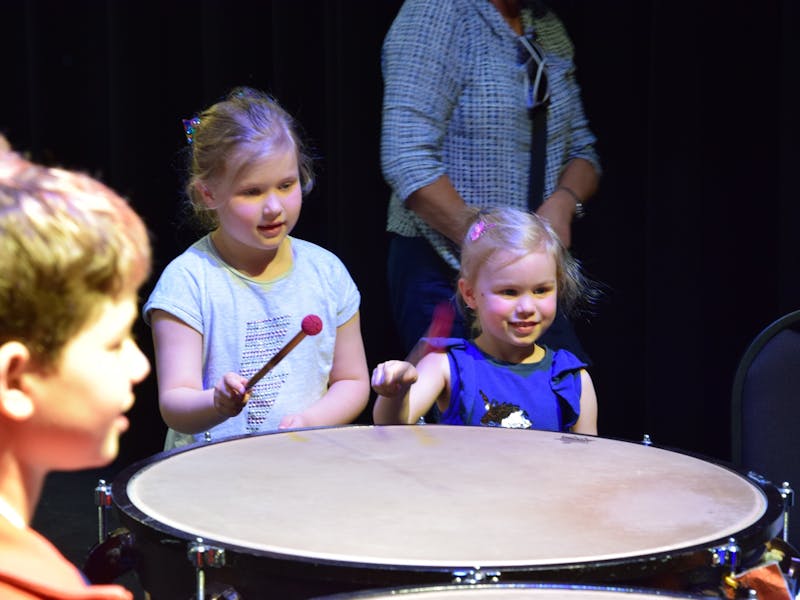 Sydney Youth Orchestras Meet The Orchestra