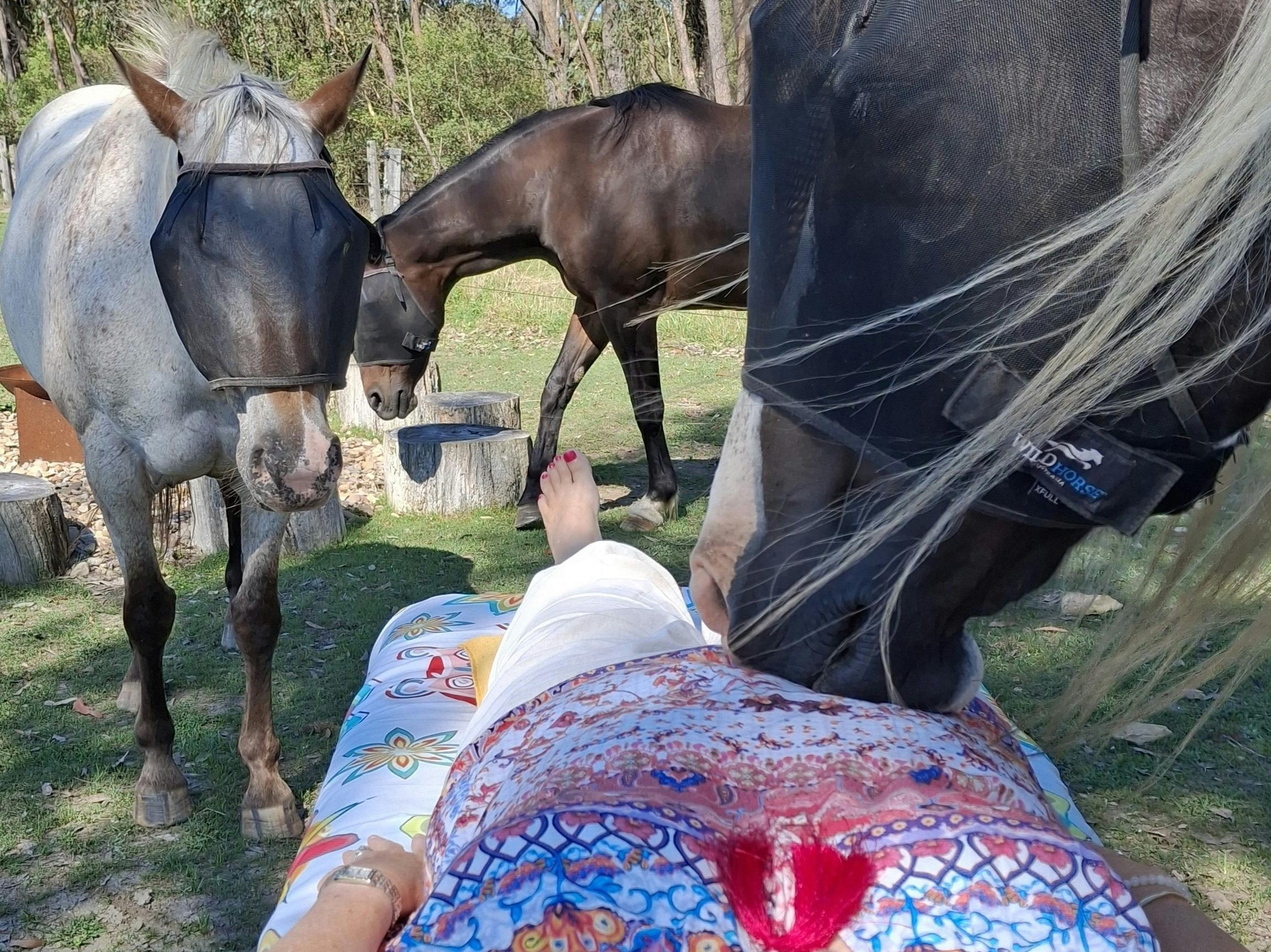 participant lying on table receiving Reiki healing energy from horses