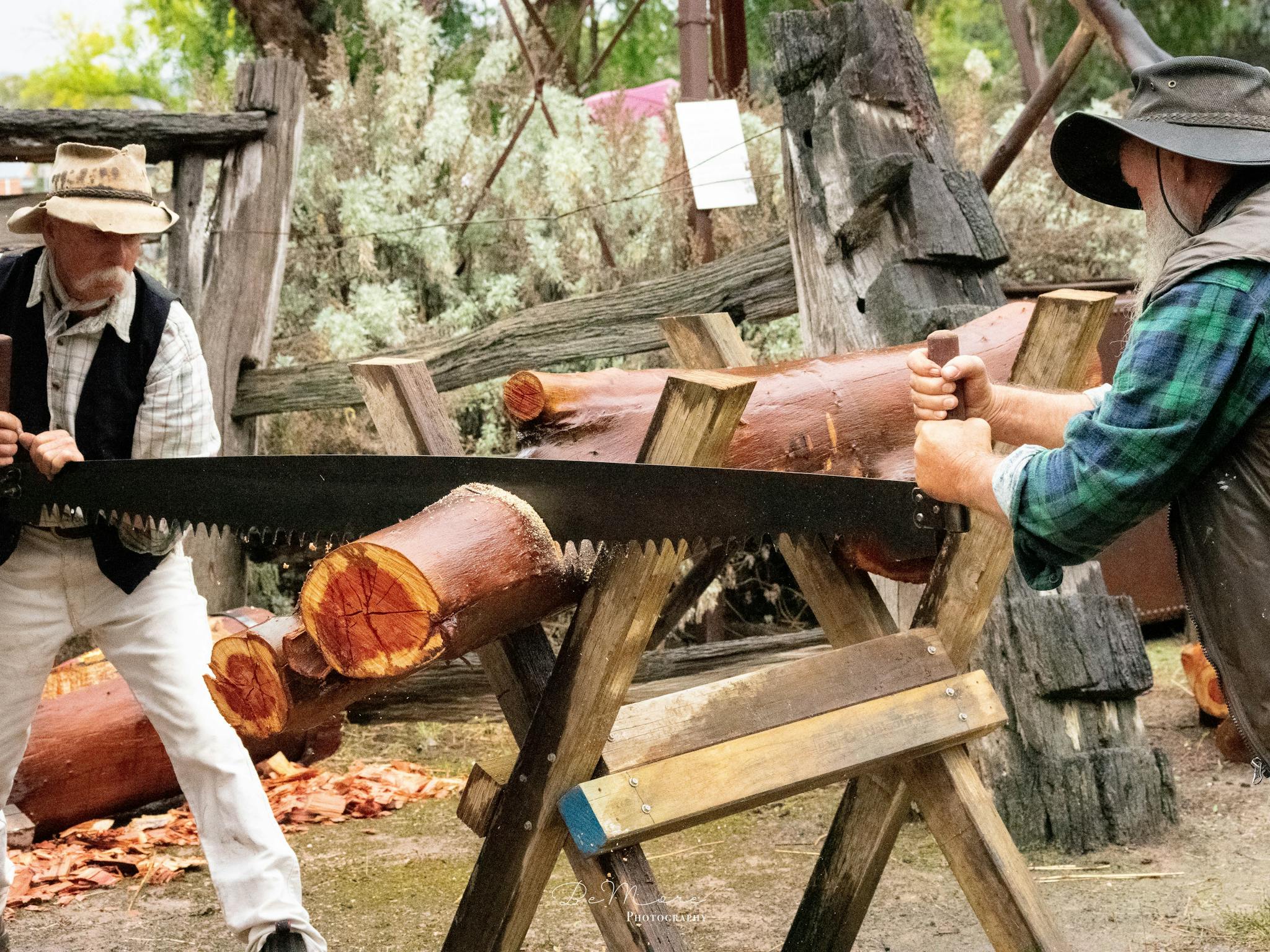 Wood saw in action 2020