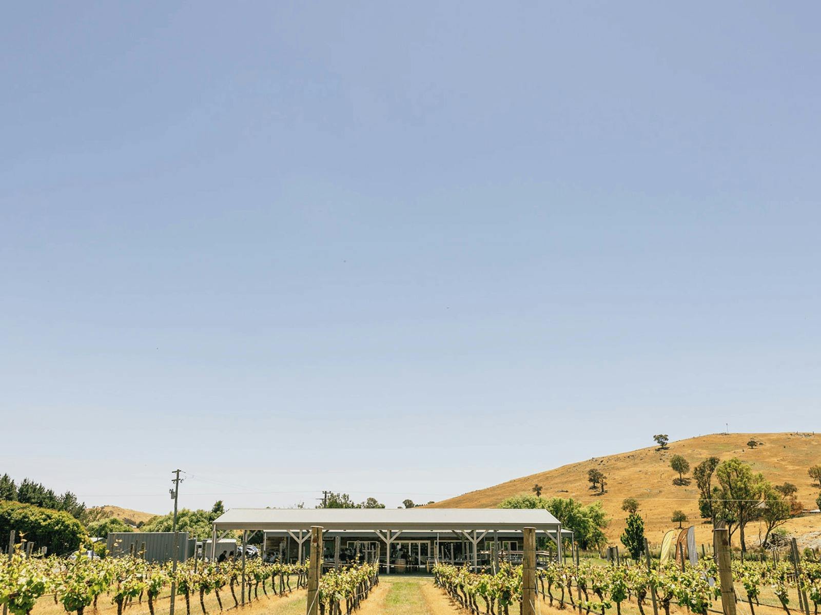 Image for Four Winds Vineyard Cellar Door