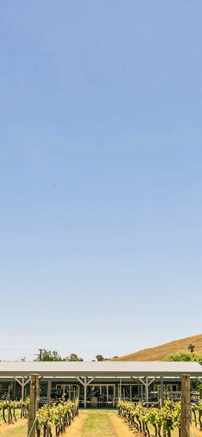 Four Winds Vineyard Cellar Door