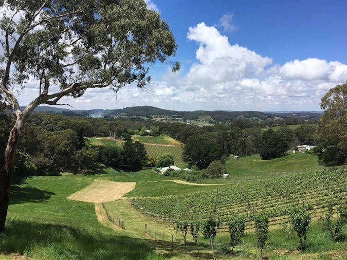 2 day Women’s Yurrebilla Trail Micro Adventure