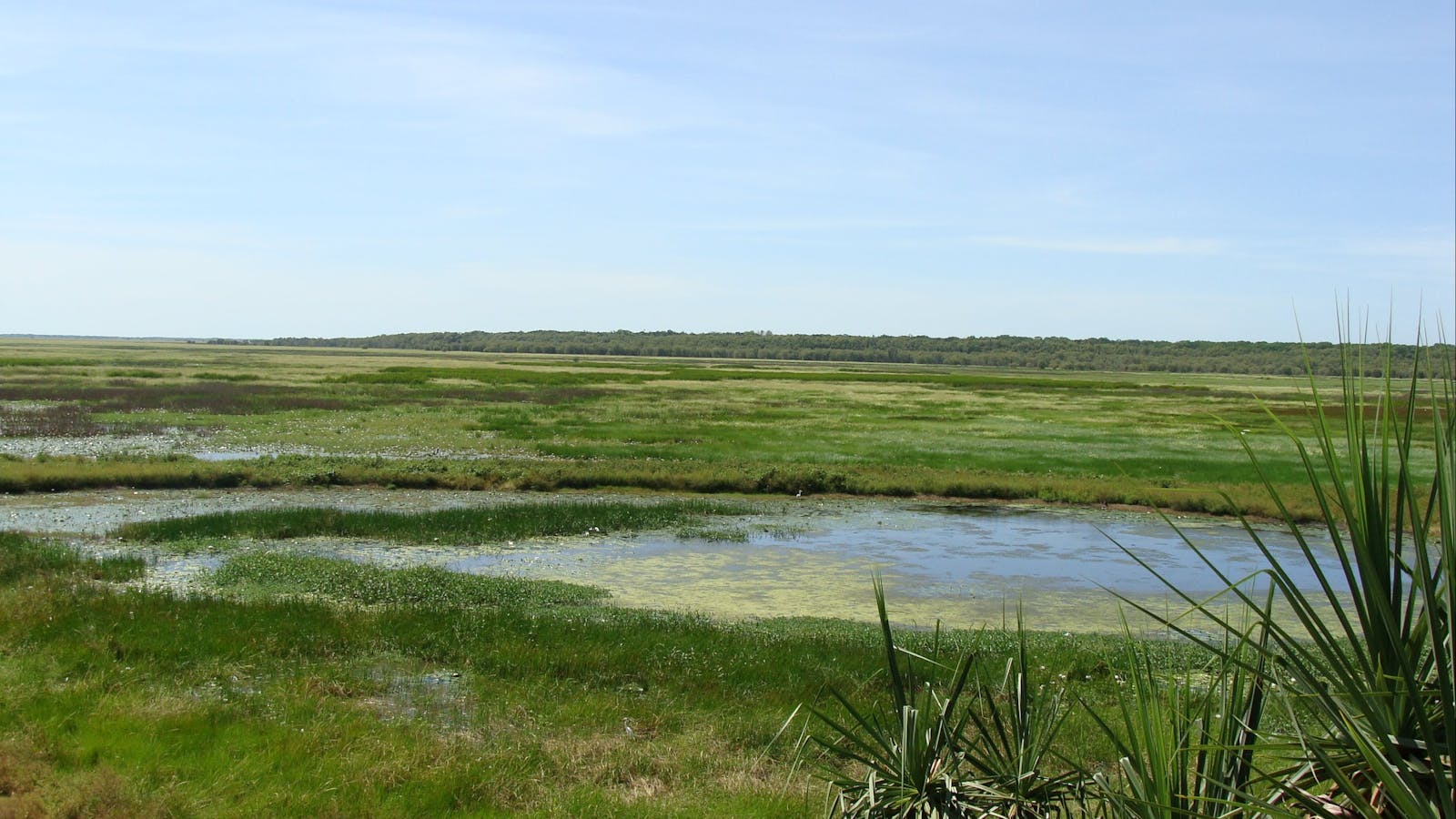 Fogg Dam Conservation Reserve