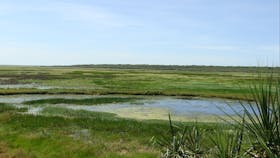 Fogg Dam Conservation Reserve