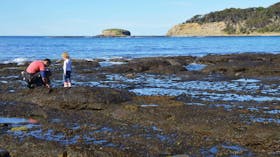 Rock Platform, Depot Beach, Murramurang National Park. Photo: OEH