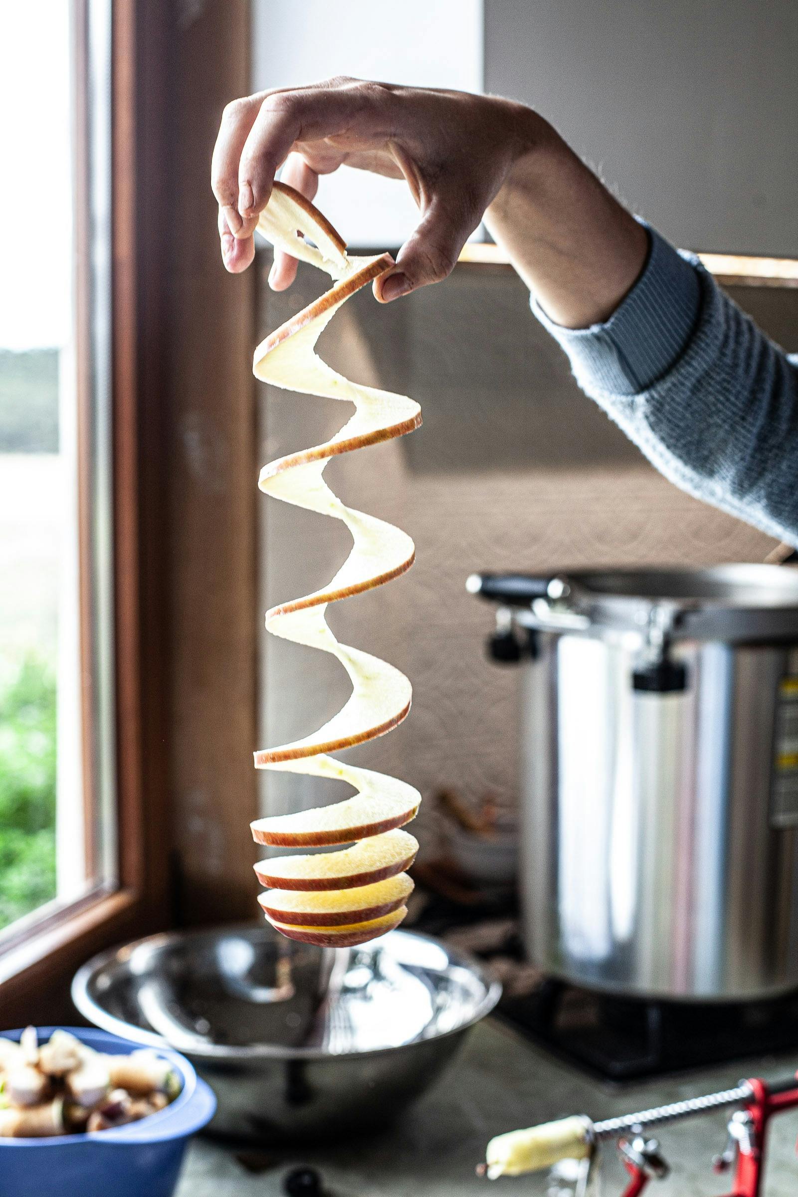 Fermenting, Drying and Preserving for Beginners