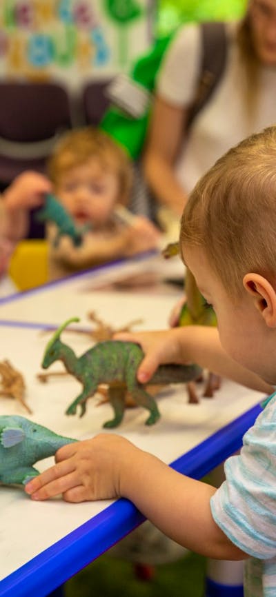 A young boy plays with toy dinosaurs at Science Time