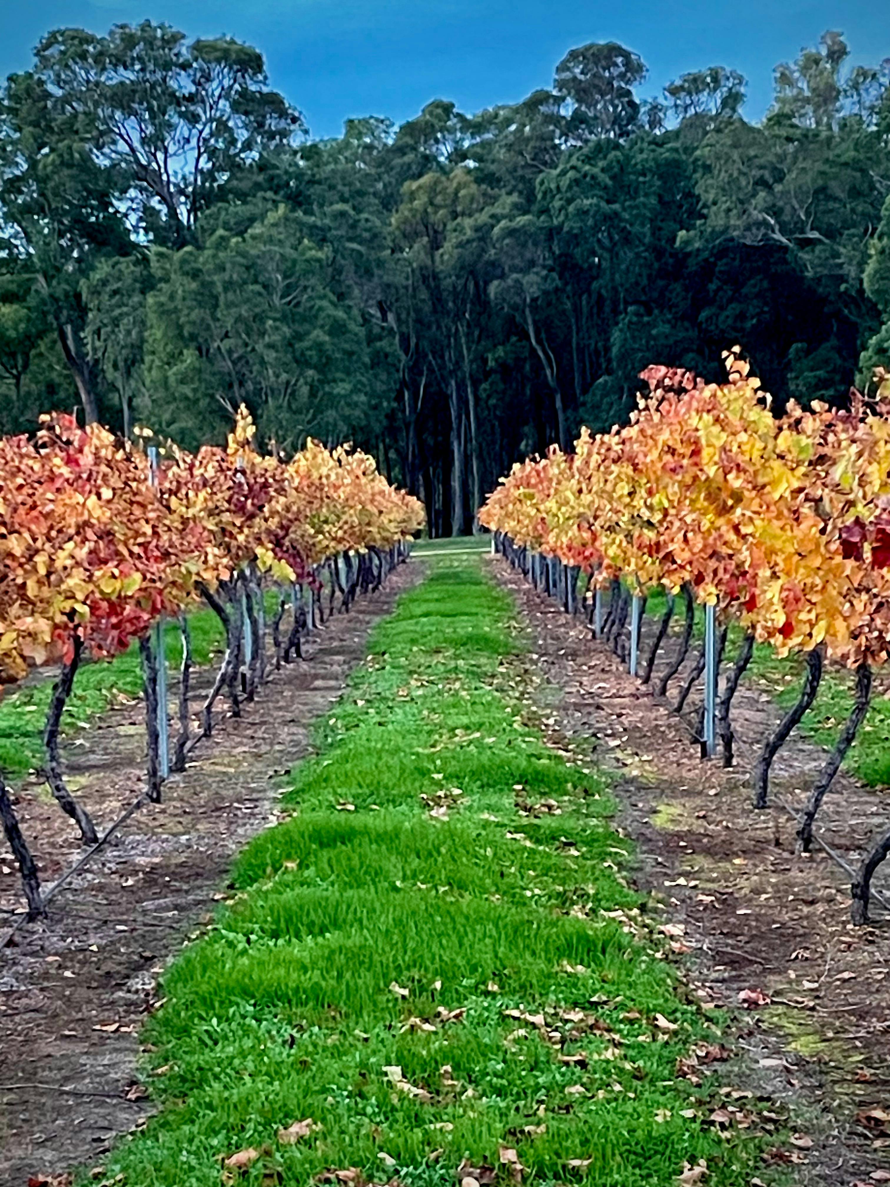 Autumn colours