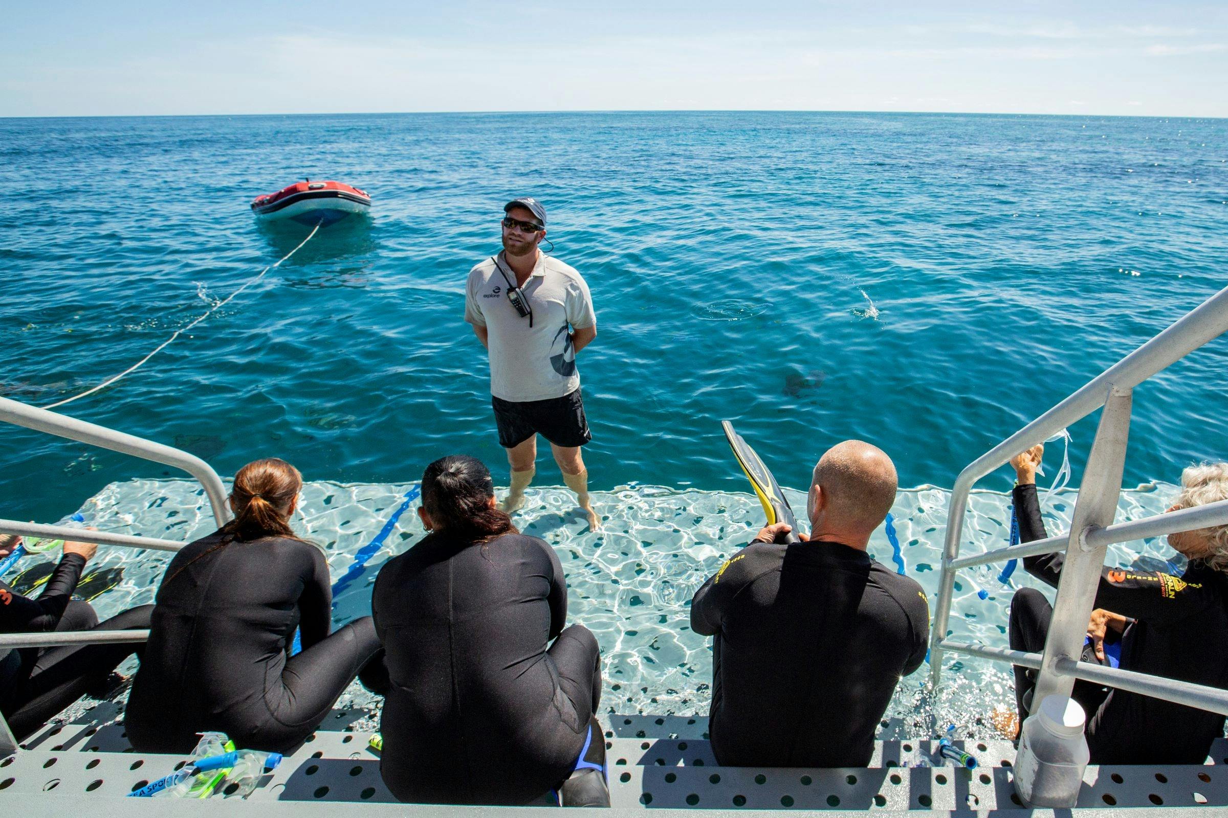 Snorkelers about to enter the water from the back platform of the boat