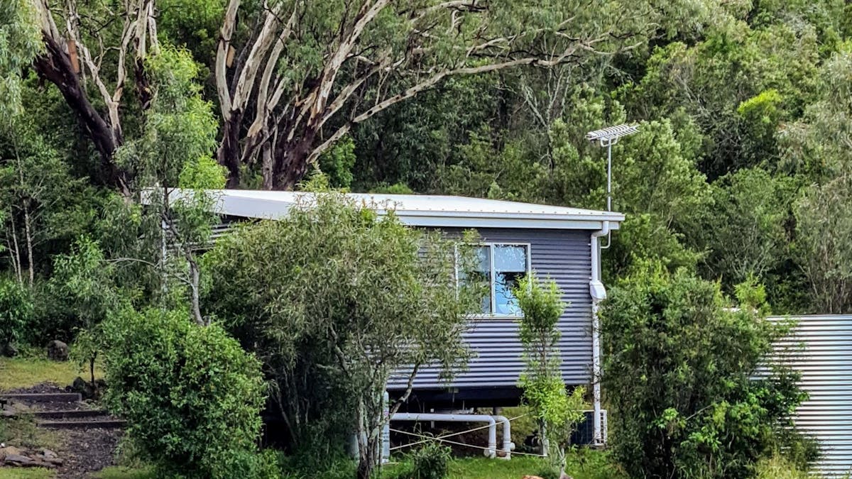 Wallabies visiting Coolibah Cabin with native bush surrounds at Kiambram Country Cottages