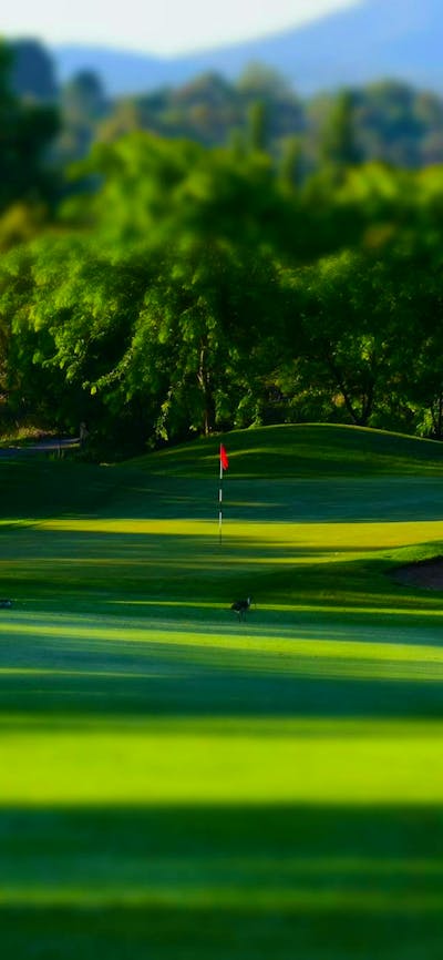 Golf course