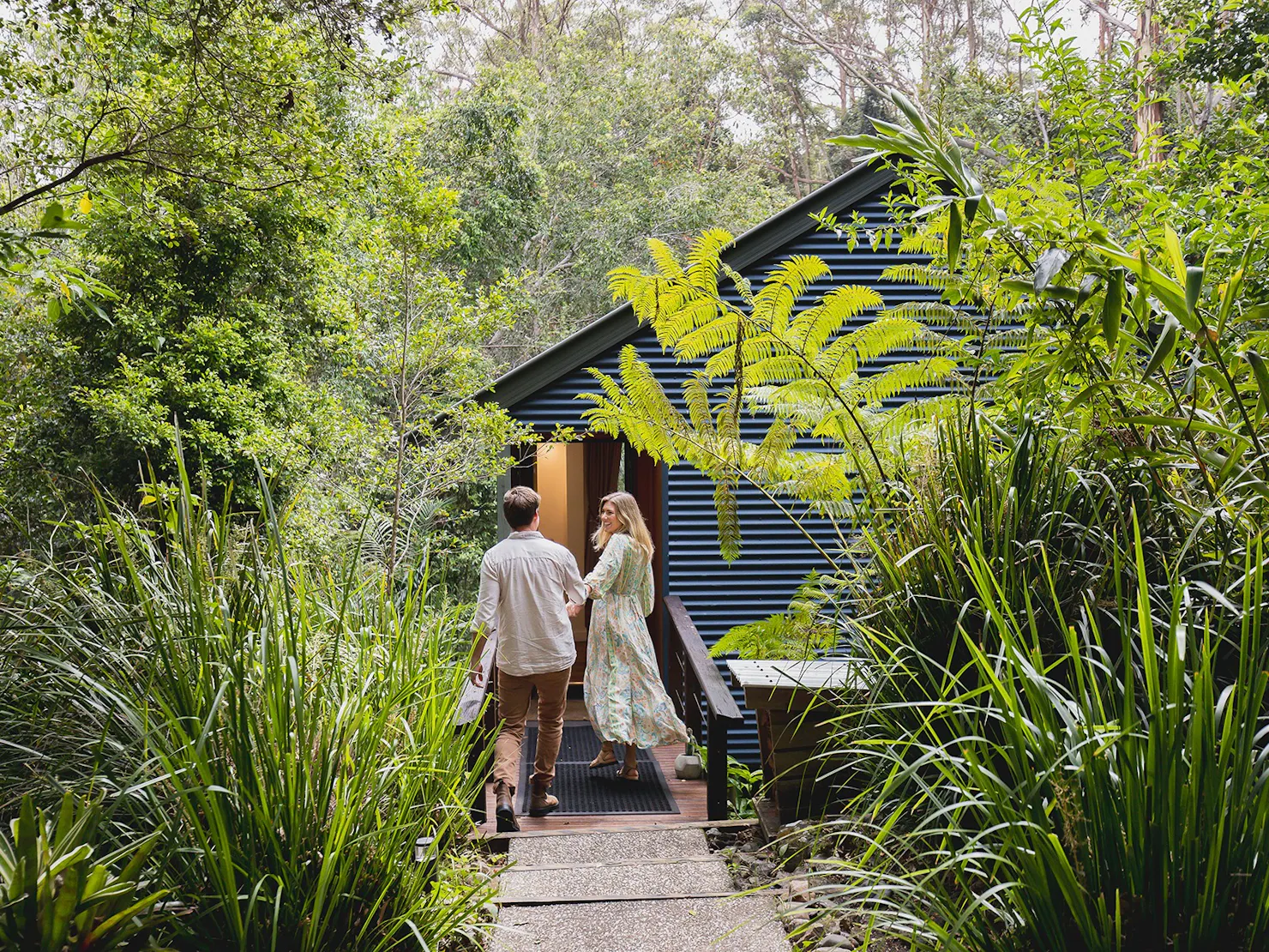 Hinterland Cabin in the Rainforest