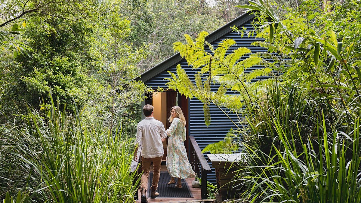 Hinterland Cabin in the Rainforest