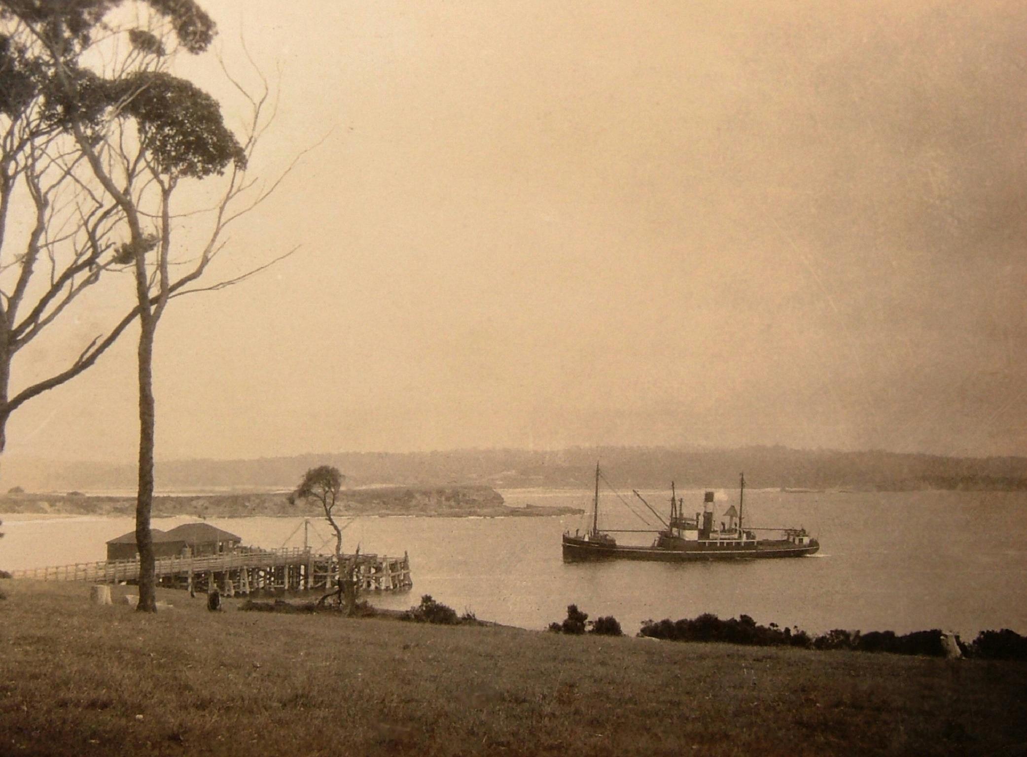 Steamship approaching Bermagui Wharf