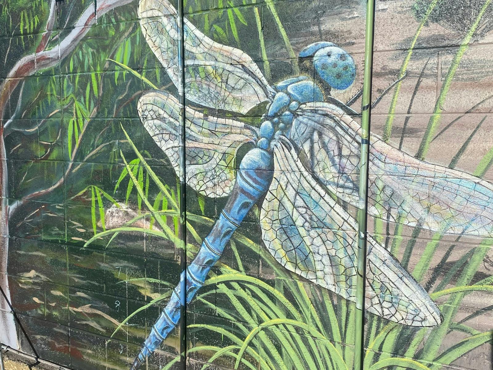 Landscapes Mural on Warooka General Store, lead artist Jason Swales and various artists