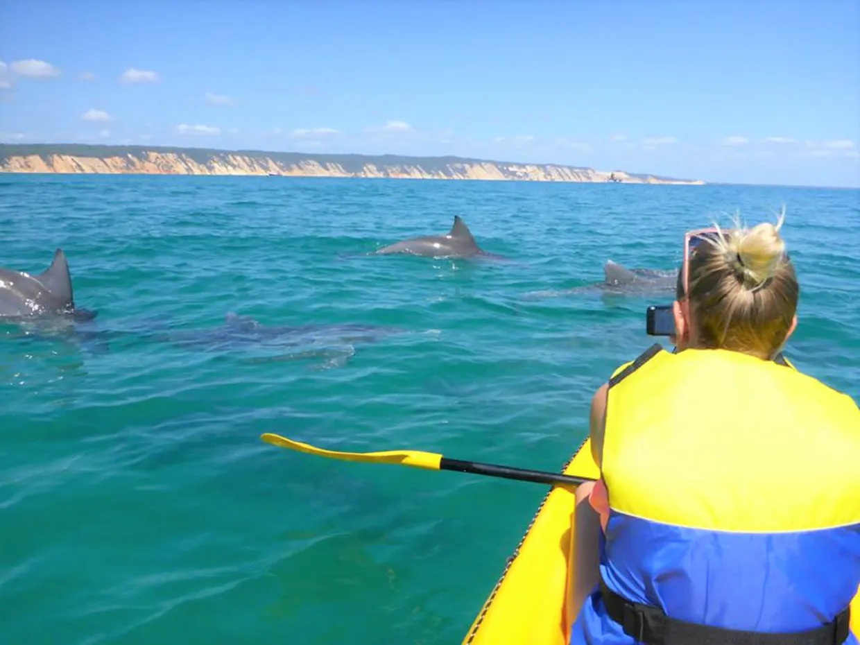 Dolphin Ocean Kayak Tour Double Island Point 10% Off