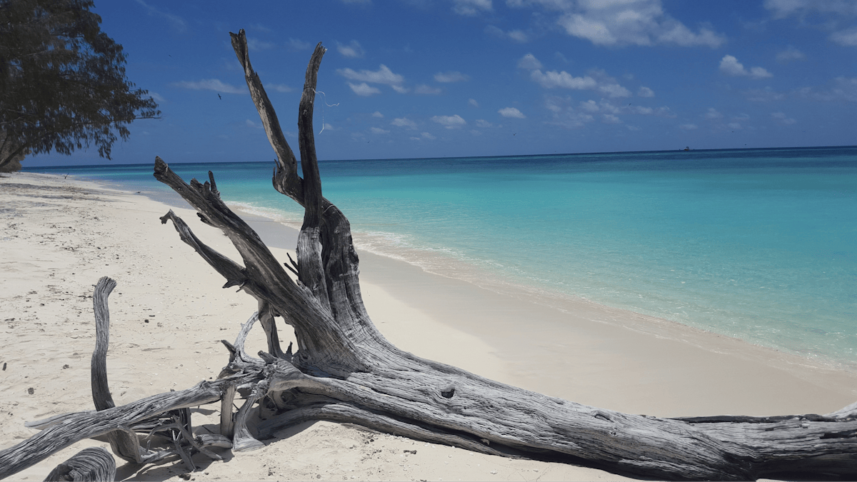 North West Island