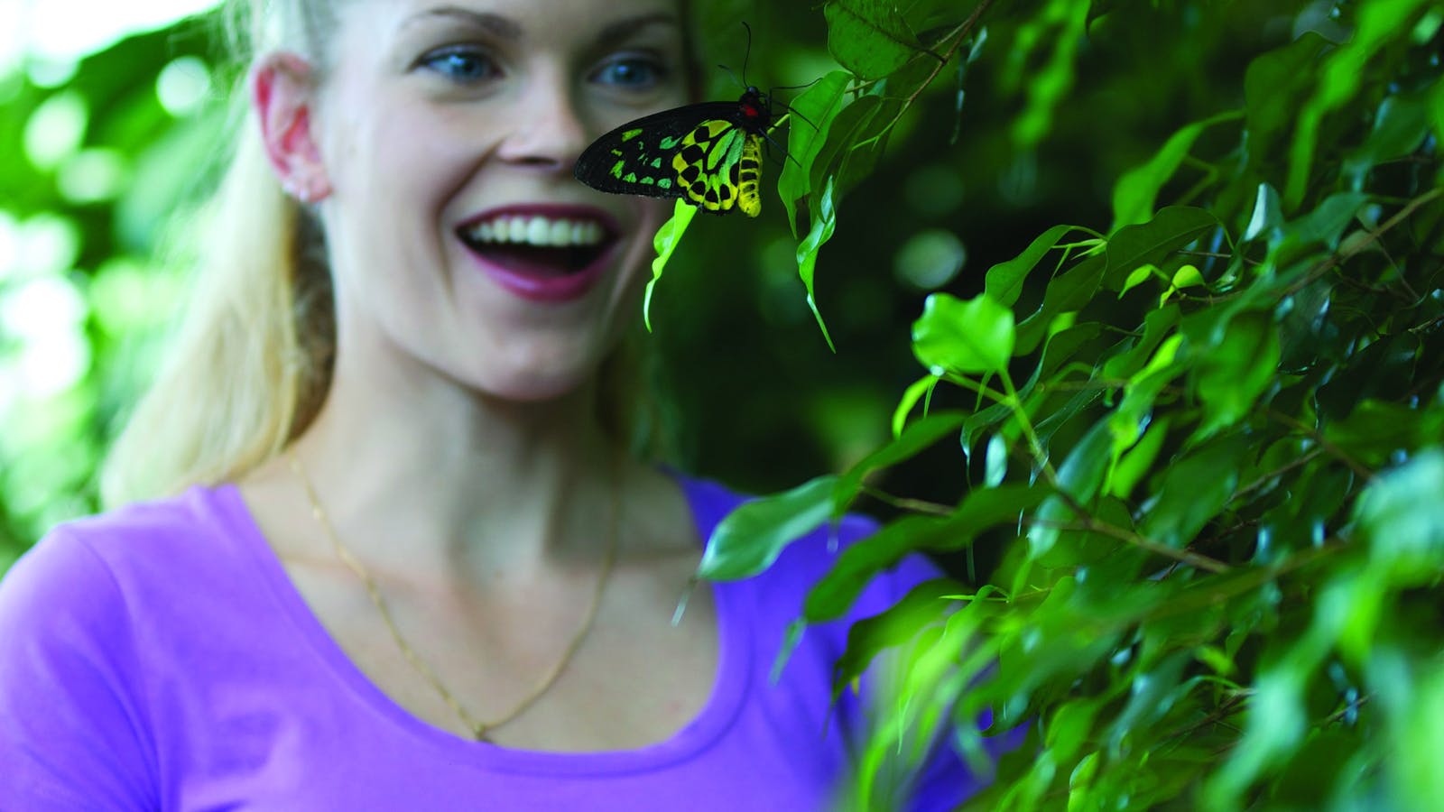 Coffs Harbour Butterfly House