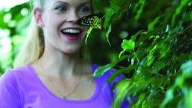 Coffs Harbour Butterfly House