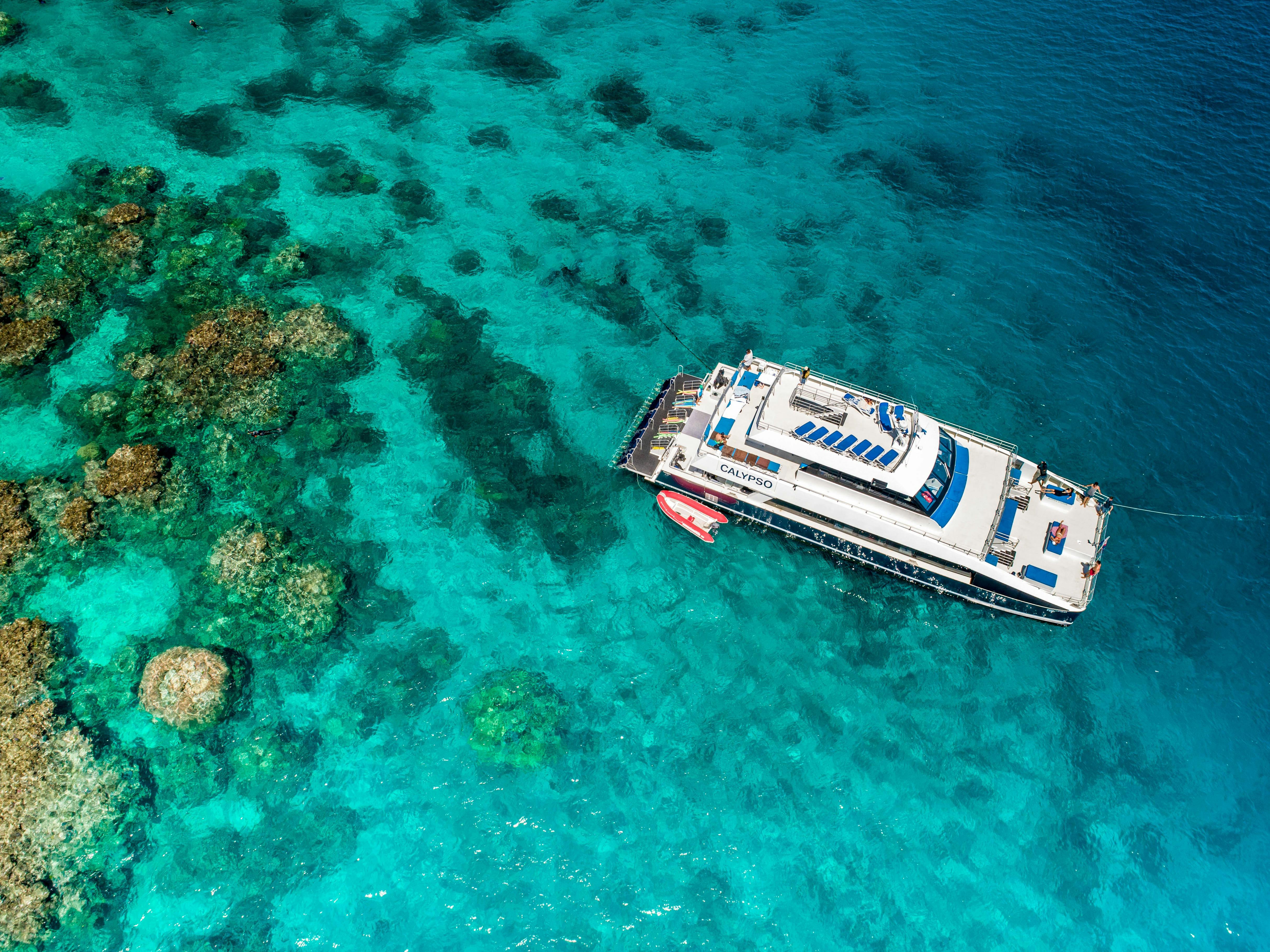 Snorkelling and Diving - Agincourt and Opal Reef