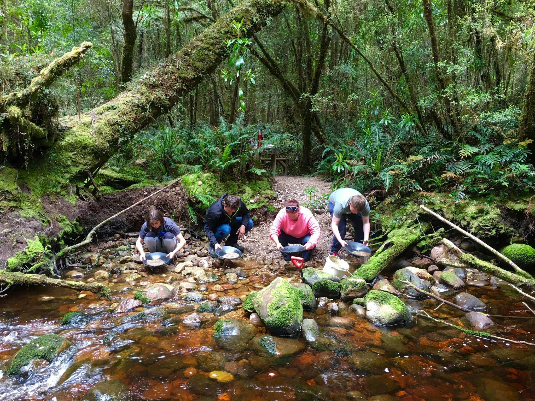 RoamWild Tasmania