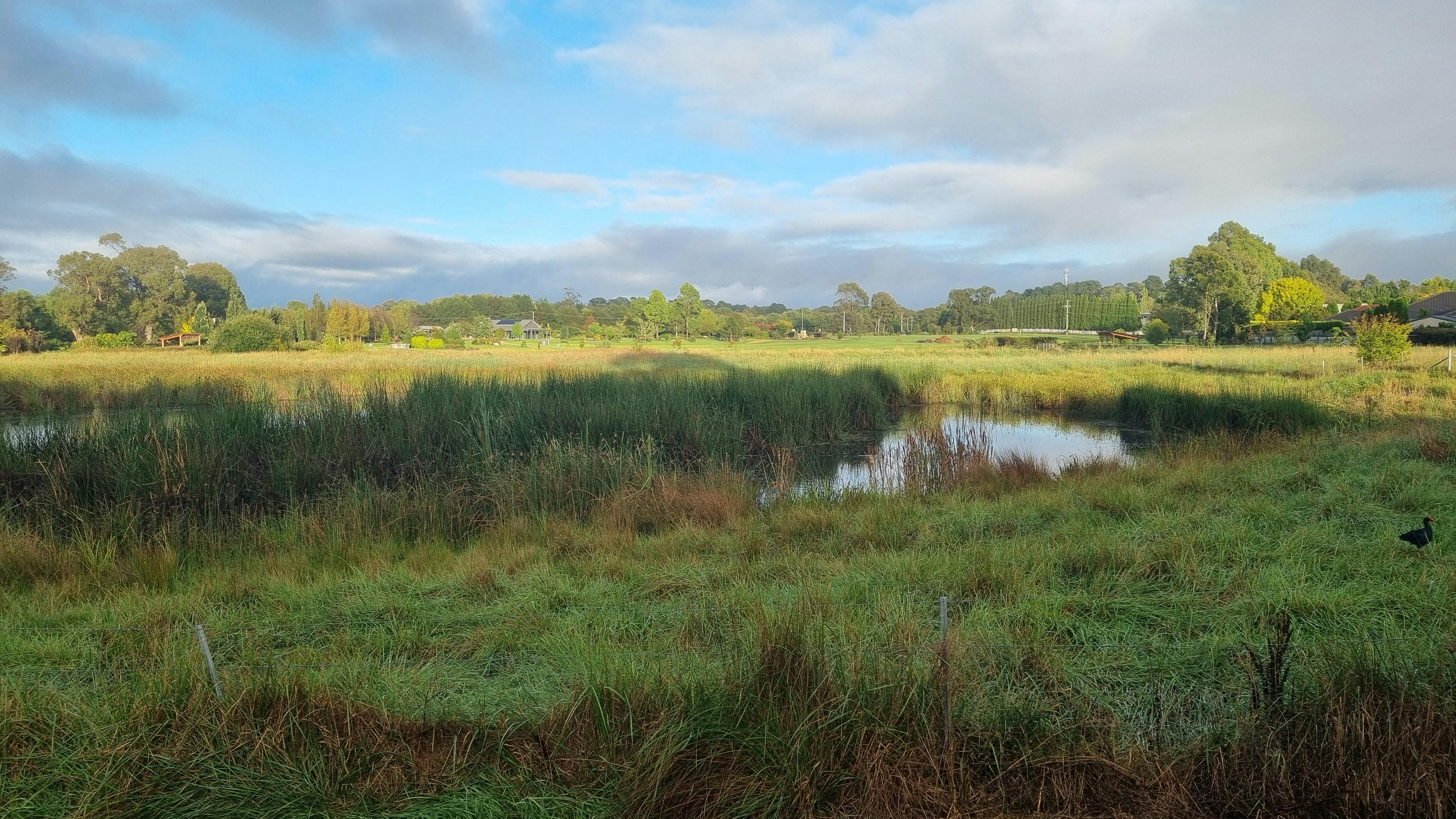 Southern Highlands is the Best horse region in Australia