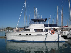 Power Catamaran Cumberland 46 - Dimanche