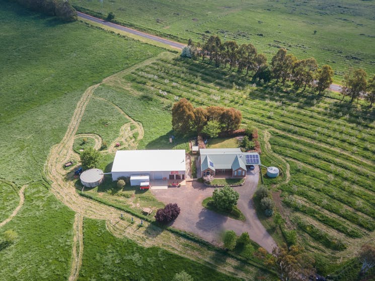 Aerial photo showing the idyllic setting between the cellar door and the orchard.