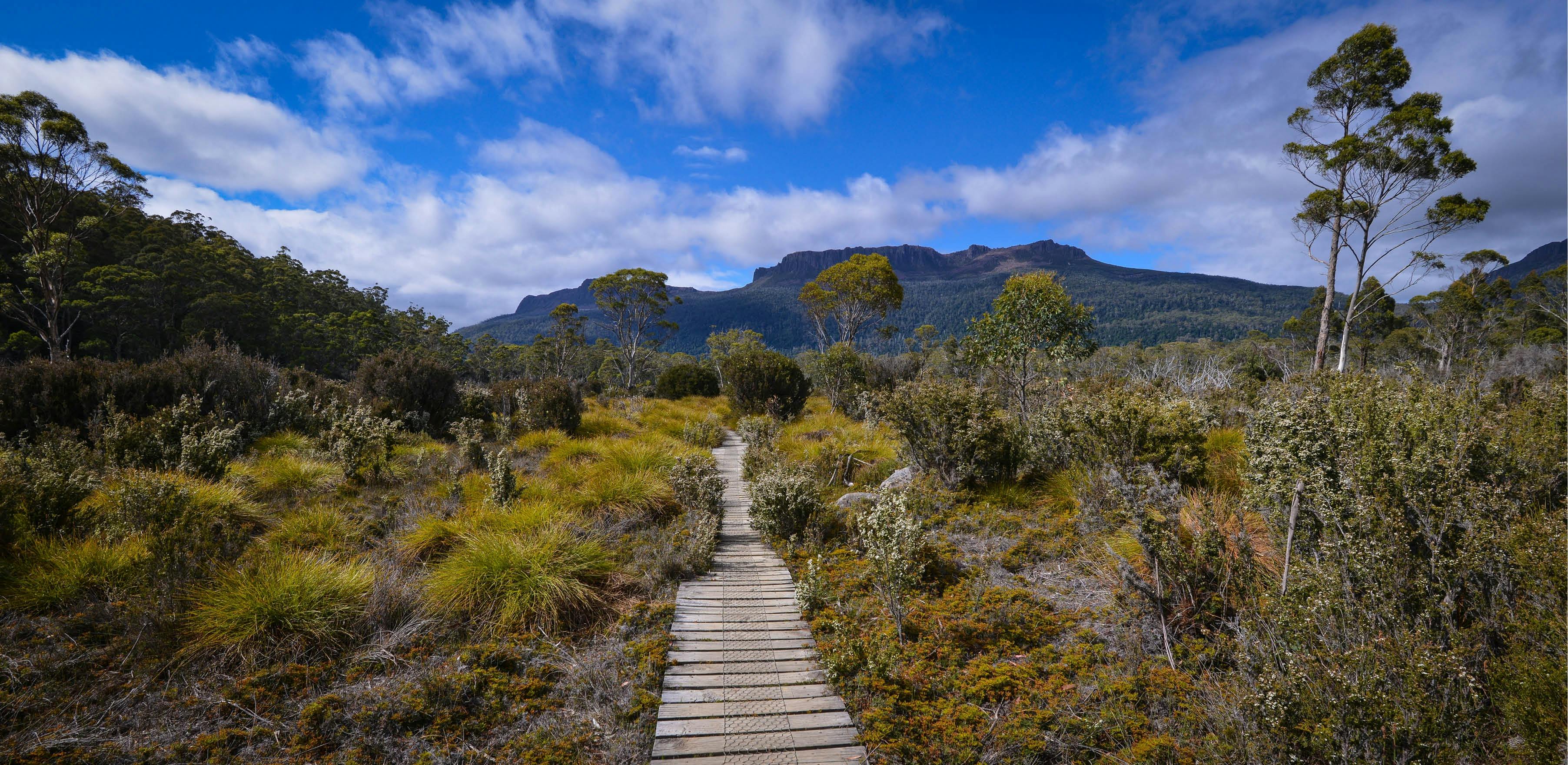 Walking the Overland Track