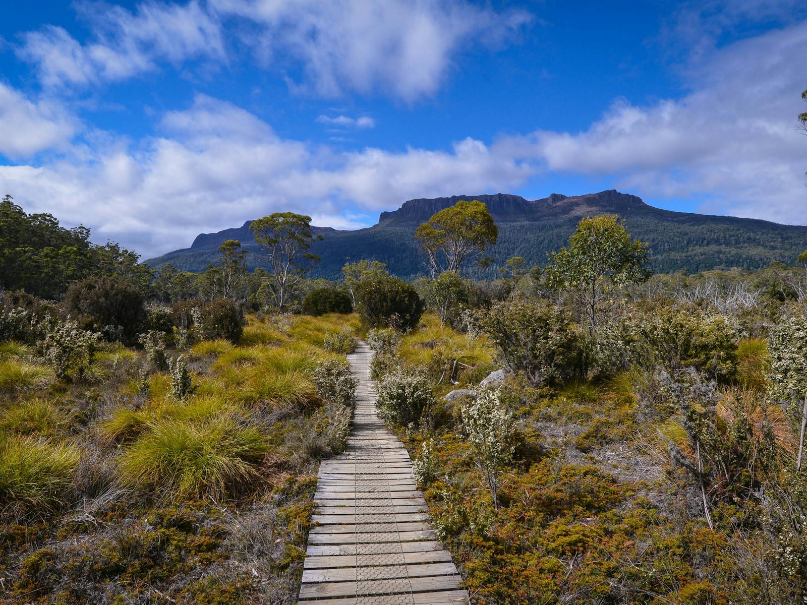 Walking the Overland Track