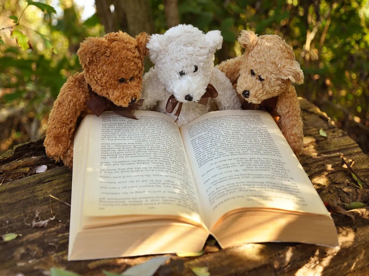 Puppet Storytime at Landsborough Museum