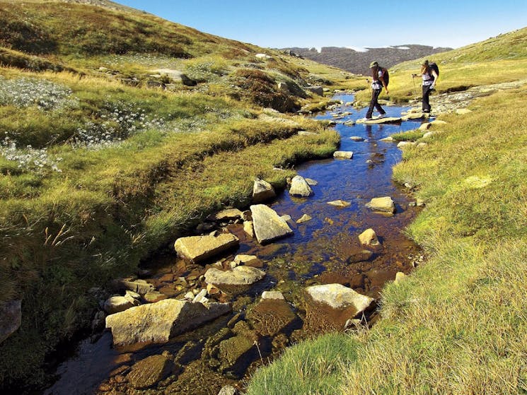 Australian Alps Walking Track