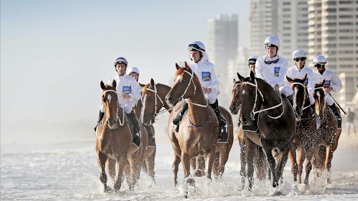 Magic Millions Barrier Draw