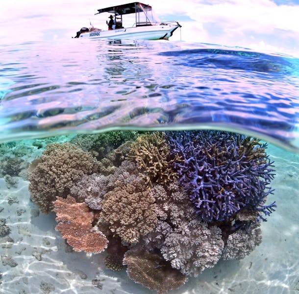 A boat sits over a coral bommie A boat sits over a coral bommie