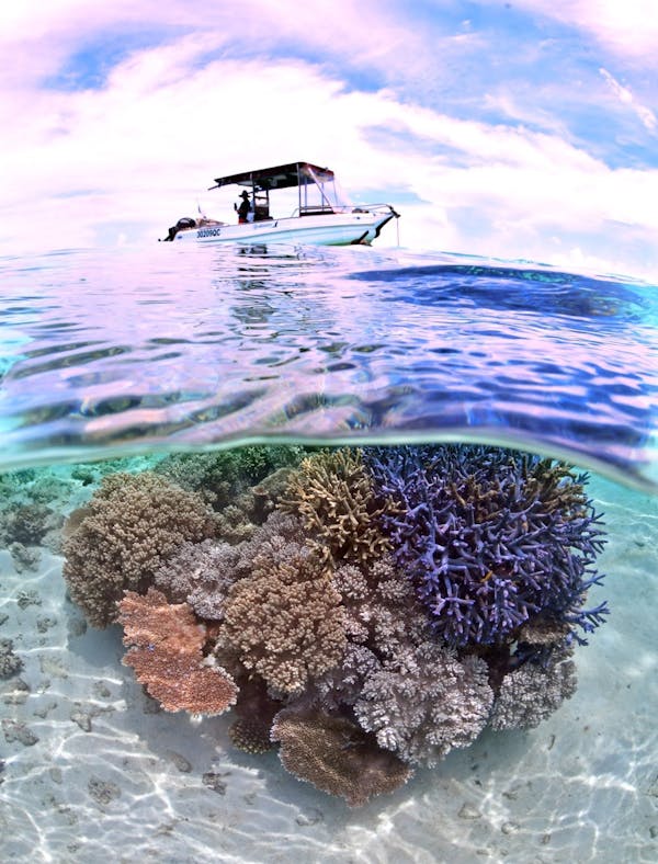A boat sits over a coral bommie