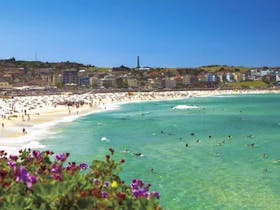 Bondi image