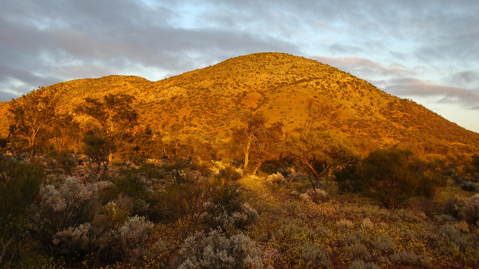 Mt. Finke at sunrise on the Goog's Track