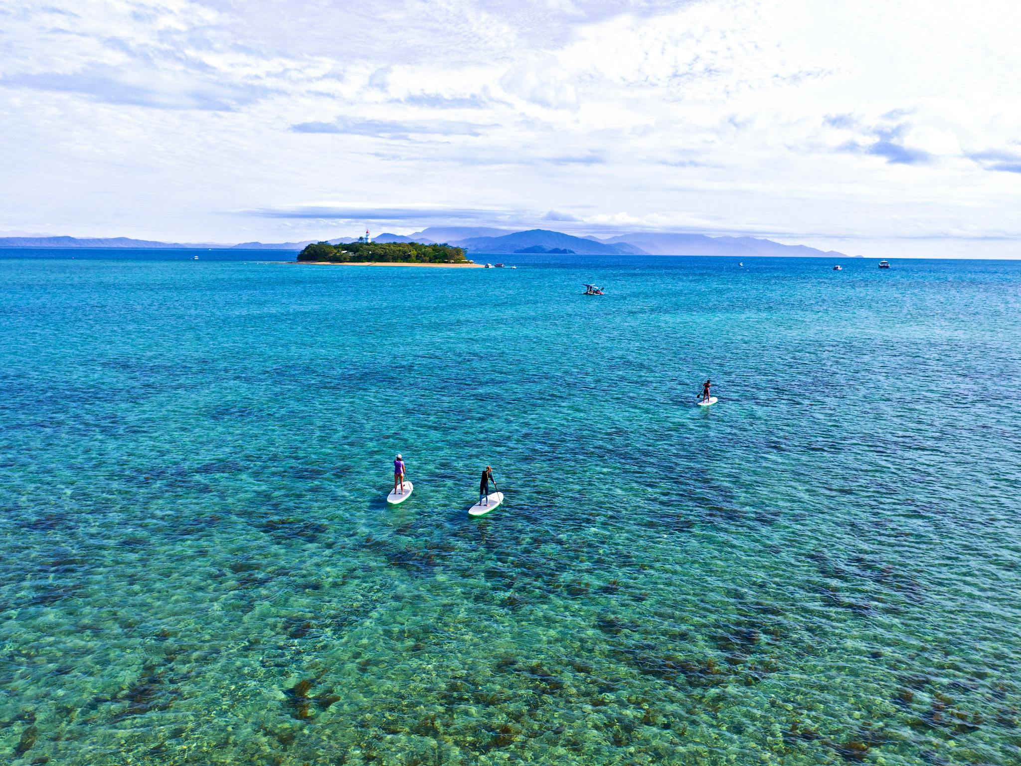 SUP drifting to Low Isles after exploring the mangrove habitat during Woody Island's nature tour SUP drifting to Low Isles after exploring the mangrove habitat during Woody Island's nature tour