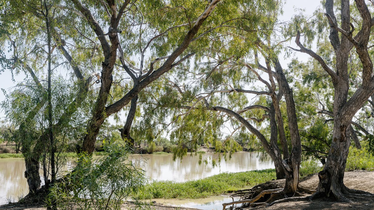 Thomson River