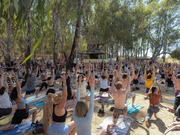 Hundreds of attendees doing yoga in nature along side the Murray River