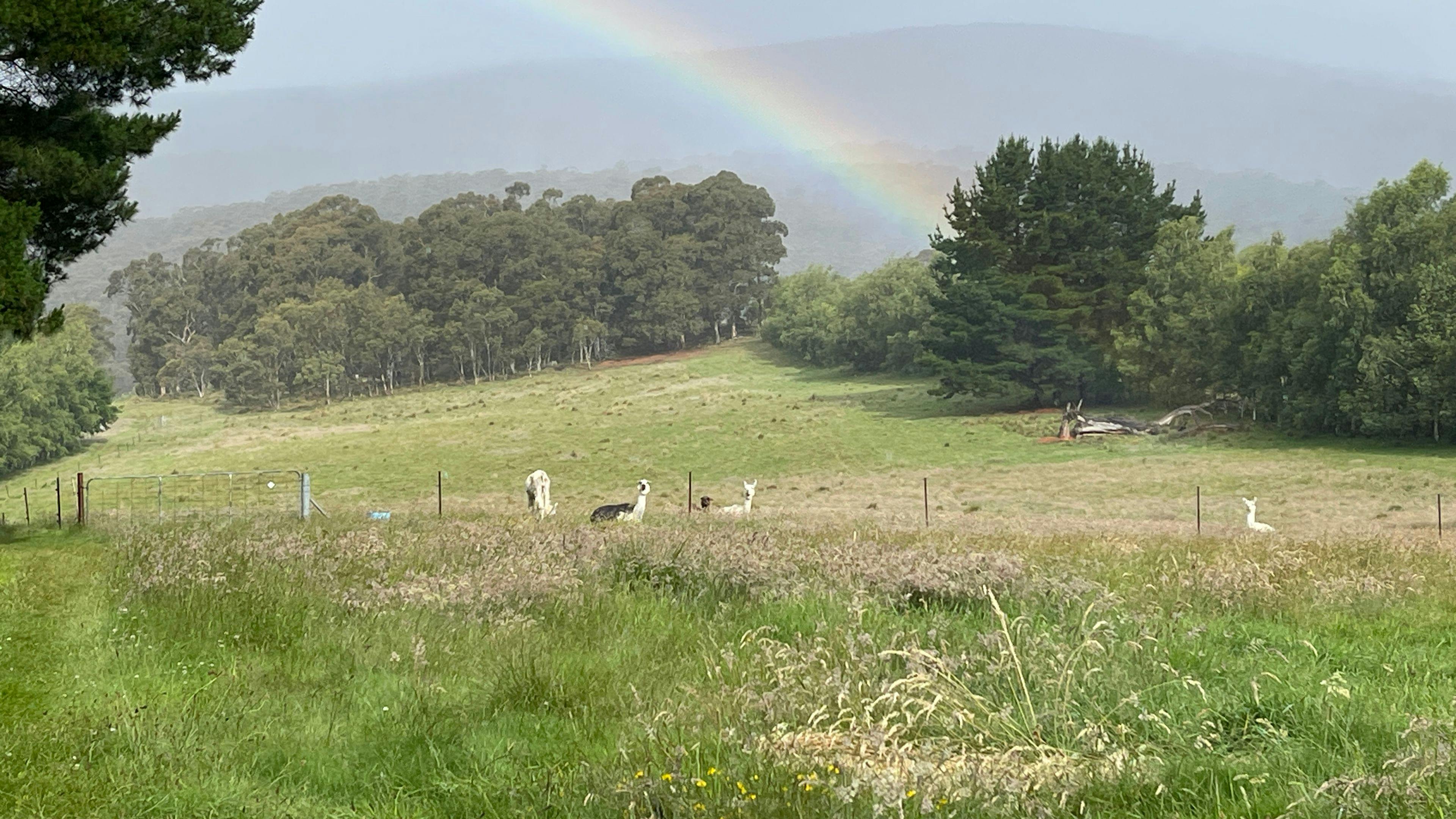 春谷休闲度假胜地